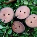Rustic Oak Tree Branch Buttons for Knitting, Crochet, or other Craft Projects (Set of 4)