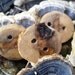 Maple Tree Branch Buttons for Knitting, Crochet, or other Craft Projects (Set of 3)