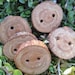 White Oak Wooden Tree Branch Buttons for Knitting, Crochet, or other Craft Projects (Set of 5)