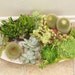 Another World Succulent Centerpiece