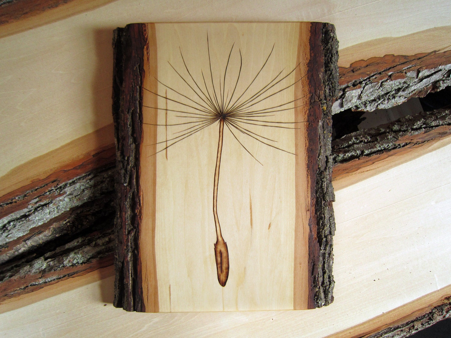Country Home Artwork: Dandelion Seed Wall Hanging - Shabby Chic Decor