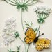 Wall art: Wild carrot flowers and butterfly. Framed with glass, OOAK. Paper filigree / quilling