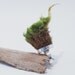 Moss Ring, Eco-Friendly, Earth Day Ring, Statement Ring