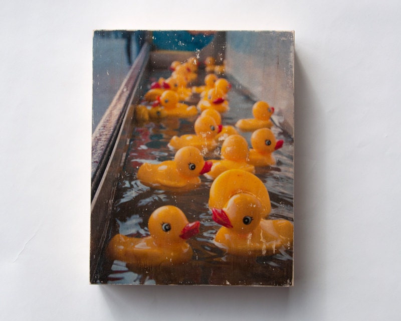 Rubber Duckies - Limited Edition Fine Art Photo Transfer on 8"x10" Wood Panel by Patrick Lajoie