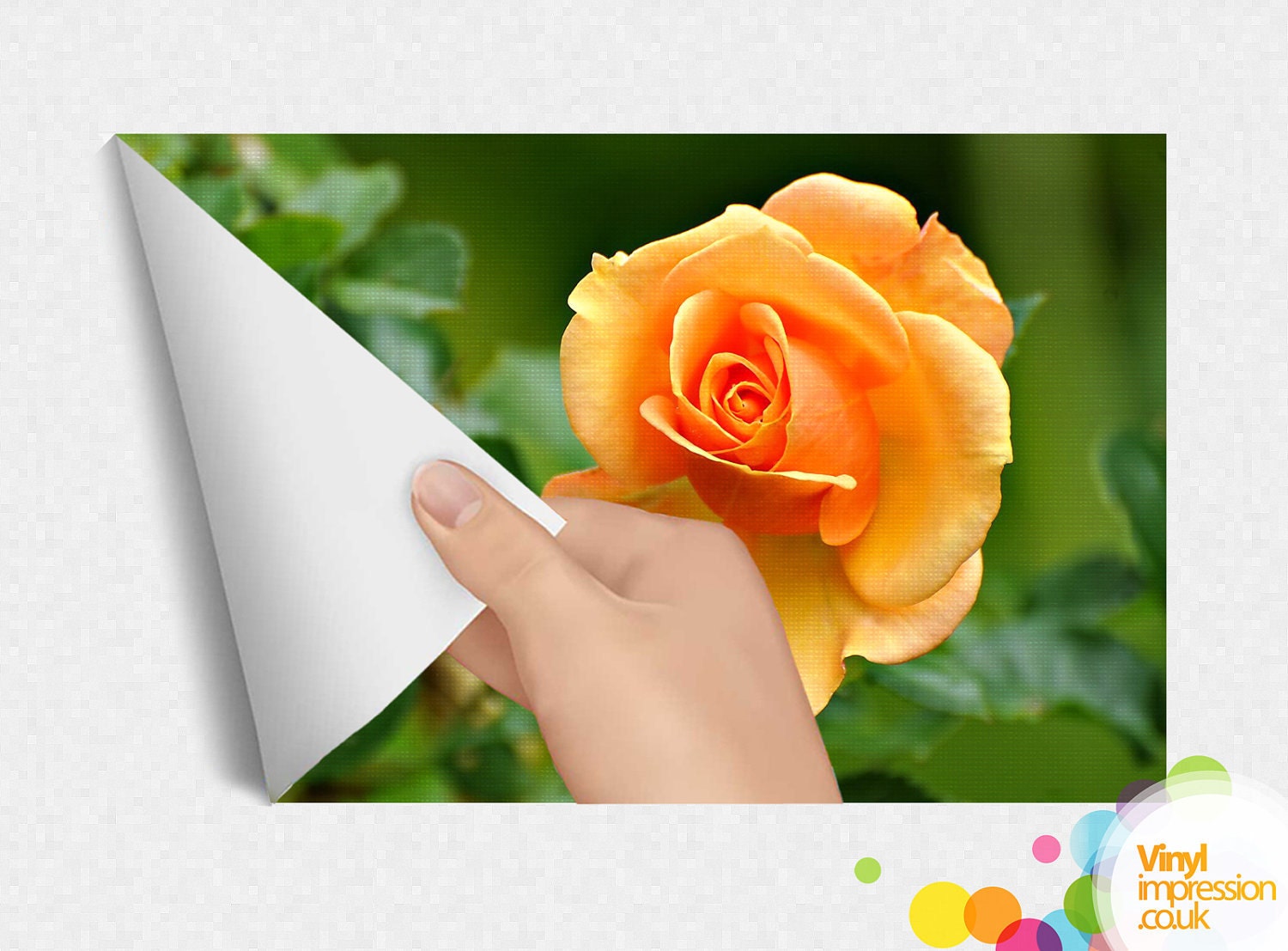 New Custom Photo Wall Sticker Small, perfect for collages