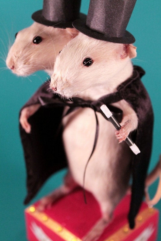 Otto & Gunther: World Famous Touring Sideshow Magicians, Rogue Taxidermy Piece