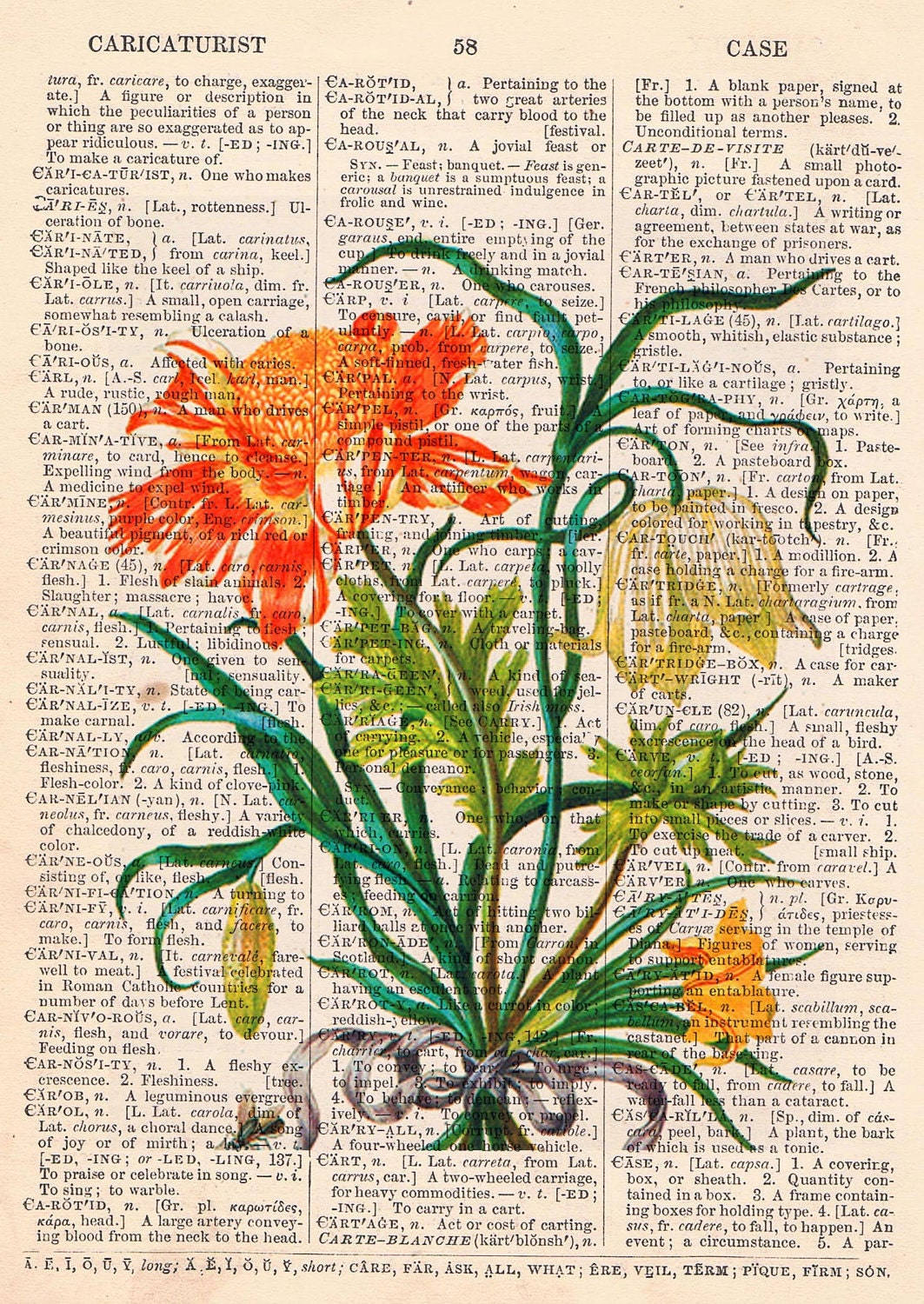 flower dictionary pictures