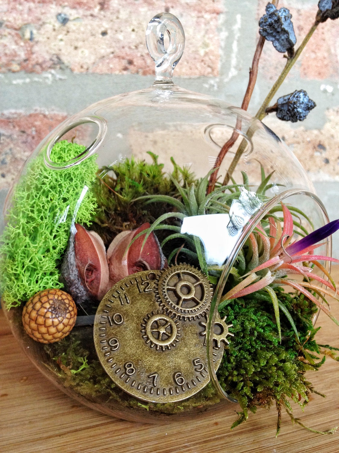 Steampunk Air Plant and Moss Terrarium - A Perfect Birthday or Fathers Day Gift