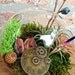 Steampunk Air Plant and Moss Terrarium - A Perfect Birthday or Fathers Day Gift