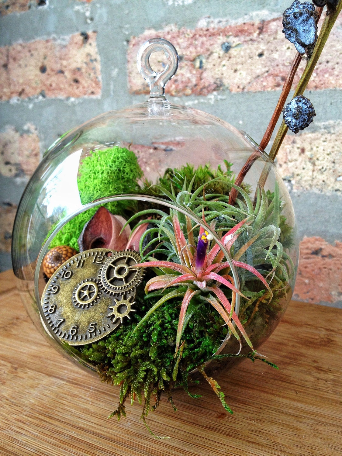 Steampunk Air Plant and Moss Terrarium - A Perfect Birthday or Fathers Day Gift