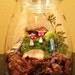 Custom for Amanda - Totally Care Free Maintenance Free Mushroom and Moss Terrarium