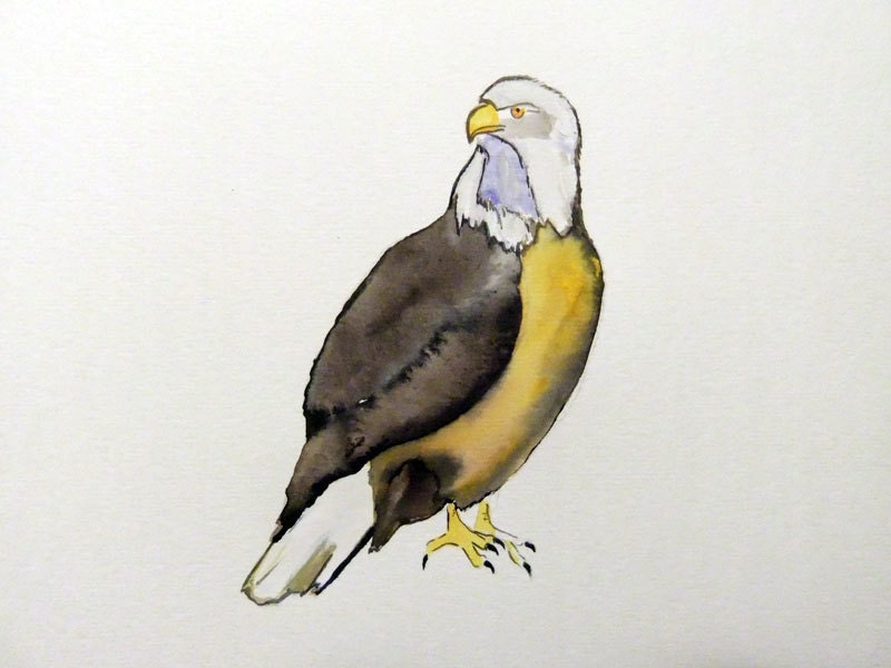Original Watercolor Painting-Eagle