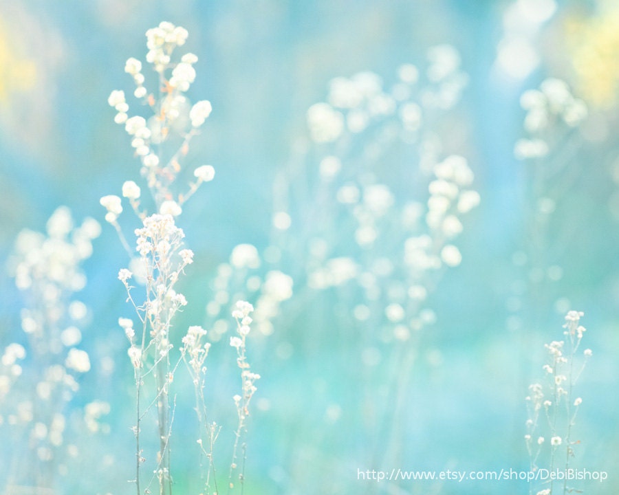 Dried Grass Weeds -Blue Turquoise White  -Nature Abstract Spring Summer Photograph 8x10- Home Decor  Fine Art Print