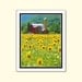 Photographic Art Print - "Sunflower Barn" 16x20 Poster - Pennsylvania