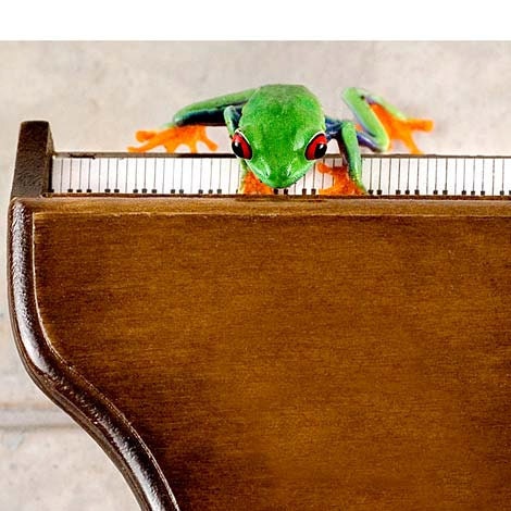 Piano Art, Music, Frog Humor, 8x10 Grand Piano