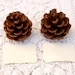 Woodland Wedding Place Cards, 20 Pine Cone holder Table Setting Rustic Country Theme Favor Autumn Fall Winter Christmas Brown Wood Masculine
