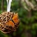 Rustic Wedding Pomanders Decoration Butterfly Country Romantic Bohemian Shabby Chic Spring Bride Fairytale Orange Photo Prop Photograph 3