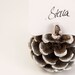 Silver Pine Cone Escort Cards, Woodland Wedding, 20 Name Place Seating Table Plan Rustic Country Theme Autumn Fall Winter Christmas White