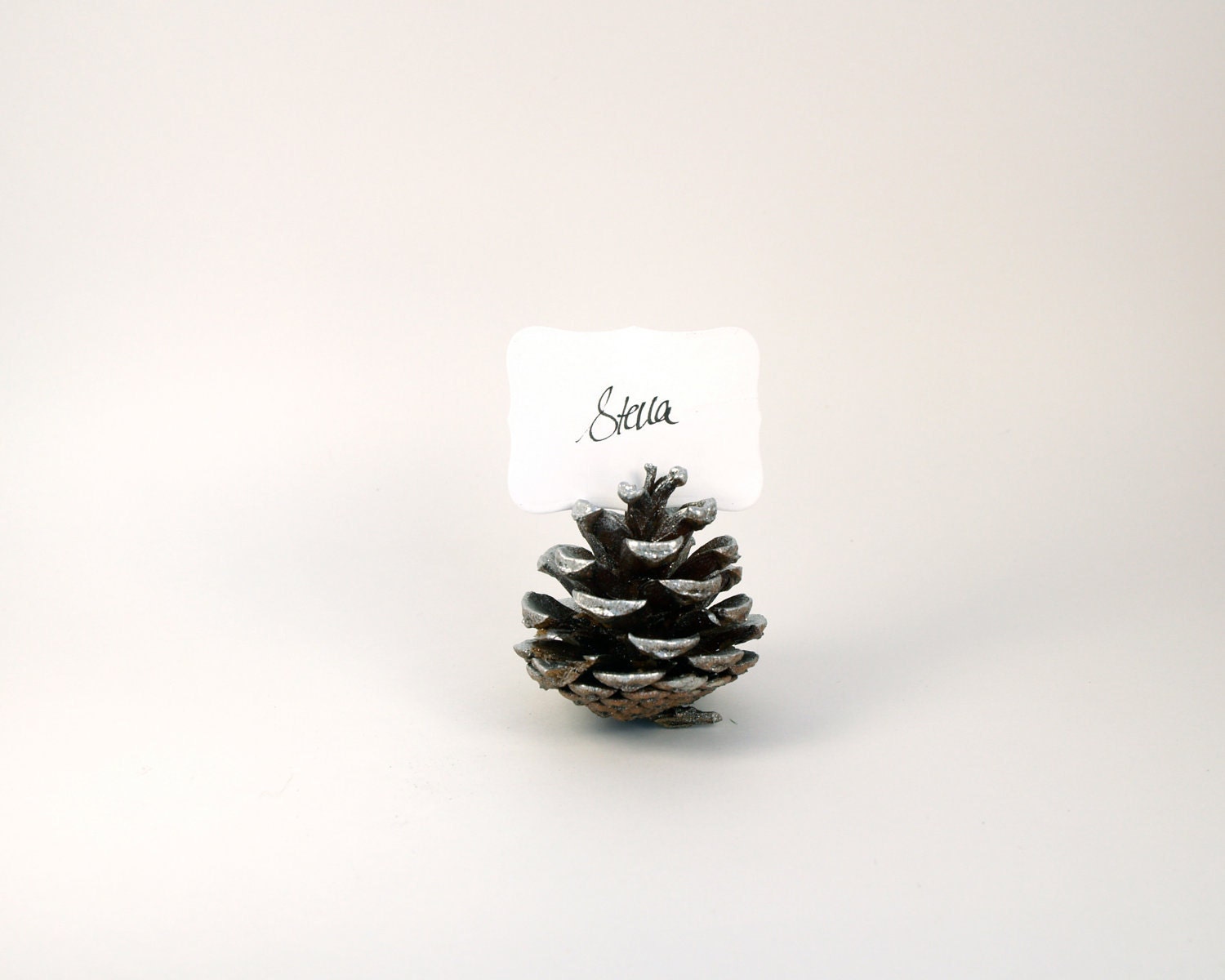 Silver Pine Cone Escort Cards, Woodland Wedding, 20 Name Place Seating Table Plan Rustic Country Theme Autumn Fall Winter Christmas White