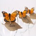 Butterfly Wedding Table Setting Escort Cards for your Wedding Decoration, Magical and Whimsical Guest Name Place Cards Seating