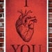 I Anatomically Heart You - Custom Art Print - 11x17