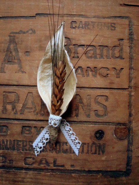Wheat Pod boutonniere (set of six)