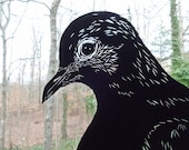 Papercut Dove - Original Hand-cut Paper Artwork - Bird Portrait