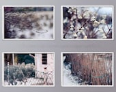 Covered in Ice - Story of 4 8x12 in Fine art prints