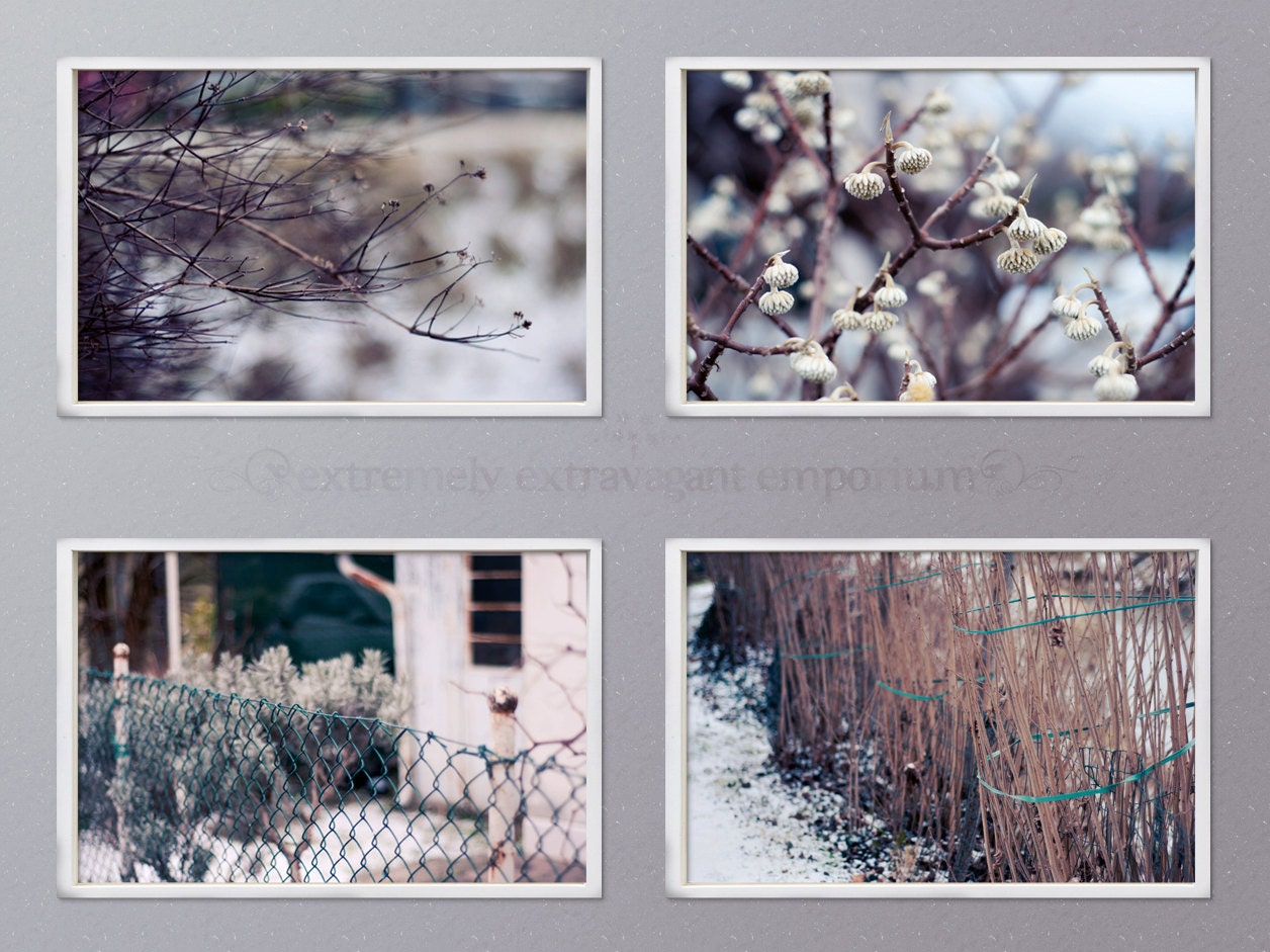 Covered in Ice - Story of 4 8x12 in Fine art prints