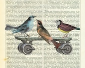 Dictionary Art Print Vintage Upcycled Book Page Birds on a Skateboard Collage