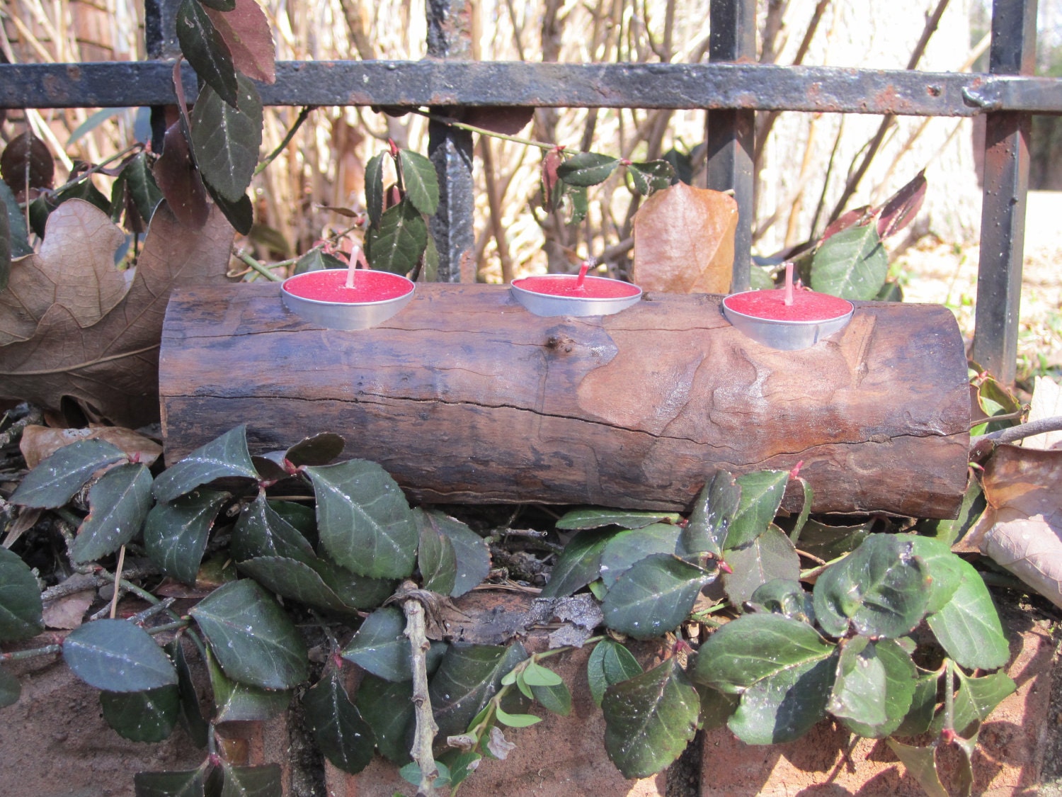 Rustic Fallen Cherry Tree Branch Candle Holder Eco Friendly Upcycled