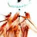Dream Catcher - Skyblue Dreams - With Natural Brown Feathers, Lightblue Frame, and Nett - Home Decor, Mobile