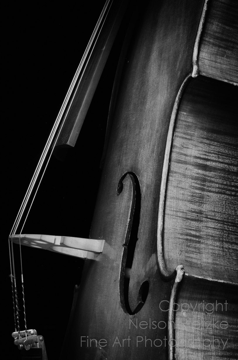 Custom Listing for AM 24 x 36 Black and White Fine Art Photography Print, Cello