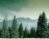 Mountain photography - Sleeping Knight - Folk Art, Winter photo - Tatry, Folklore, Legend, Pine Trees, Green, Forest Photography, 5X7 - AgaFarrell