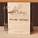 Custom Wedding guest book wood rustic wedding guest book album bridal shower engagement anniversary- "Love Birds, Tree" - Big size