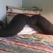 Giant Mustache Pillow