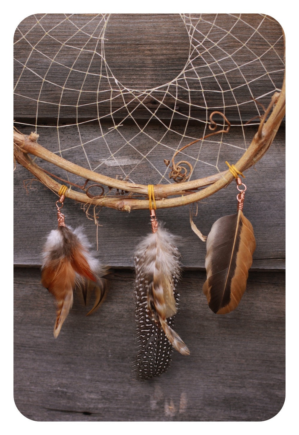 Grapevine Dream Catcher: My Tribute to the Guineas