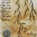 May 10, 2012 / Daily Drawing On Teabag