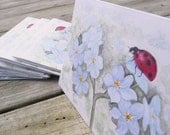 Eco friendly notecards ladybug on forget me nots garden watercolor painting gift set