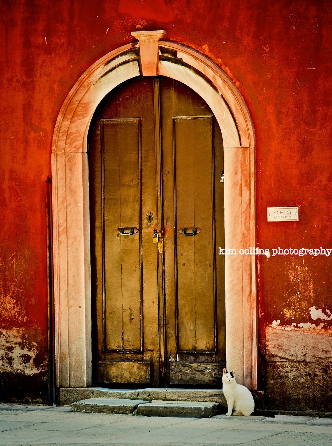 Turkish Kitty-Istanbul Turkey-Travel Photography-10x15-Other Sizes Available-Red-Color-Doors-Fine Art Photography-gift