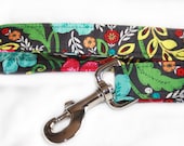 Dog Leash in Hibiscus Paisley