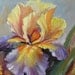 Flowers Floral Original Oil Painting on Canvas Wall Decor Art by Anastassia