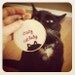 Crazy Cat Lady Embroidery Hoop - Fun Cute Gray Kitty Animal Lover Home Decor or Christmas Ornament