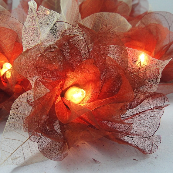 Items similar to 20 Brown Carnation Flower Fairy STRING LIGHTS on Etsy