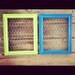 Chicken Wire Frames