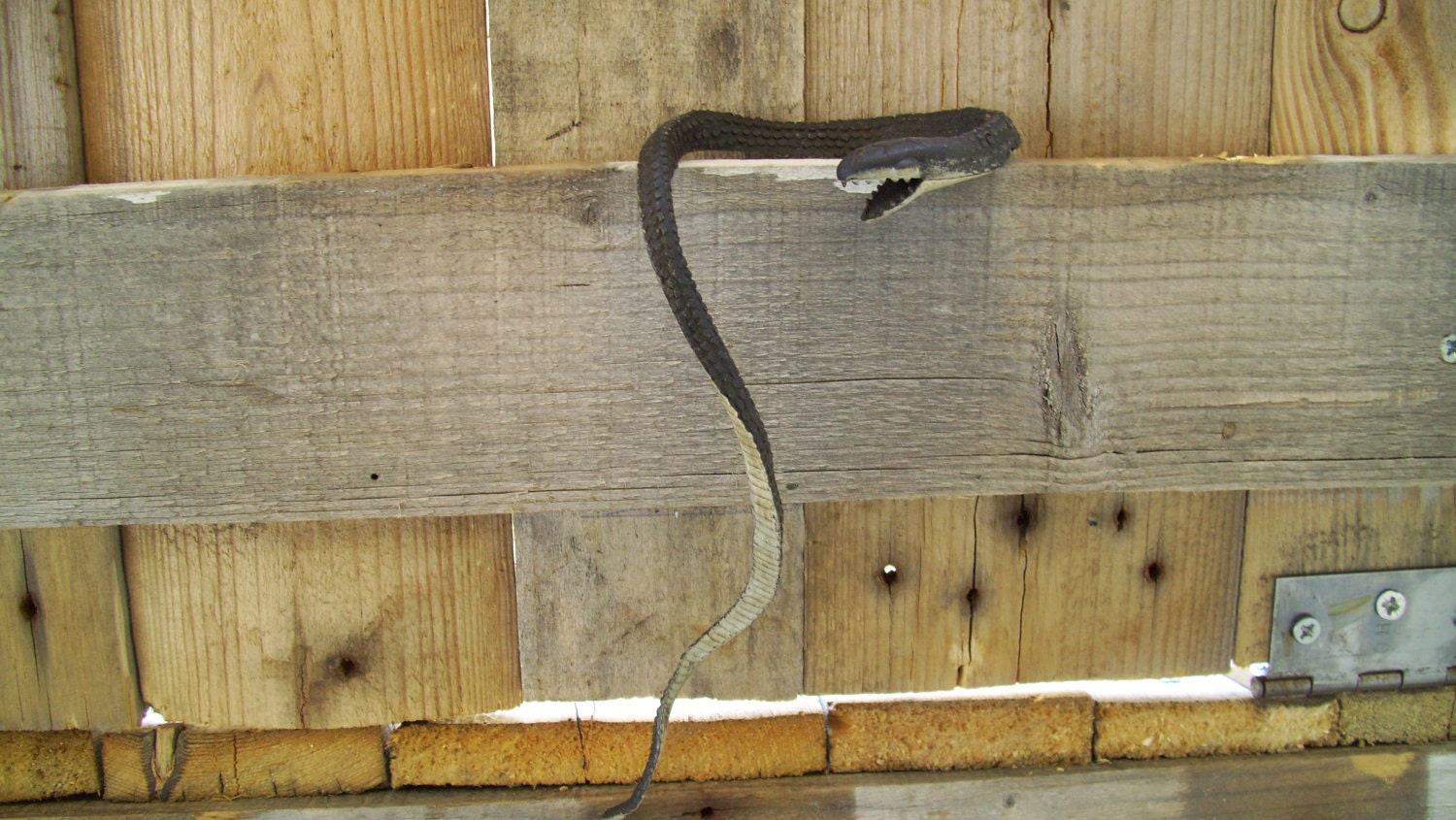 Vintage Black Snake Rubber Toy 90s Black Racer Reptile Serpent Kids Toys GVS team Vl team
