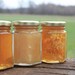 3 Raw Varieties of Honey from the Bee Hive -- All Natural Honey Sampler
