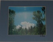 Taos Aura film photograph