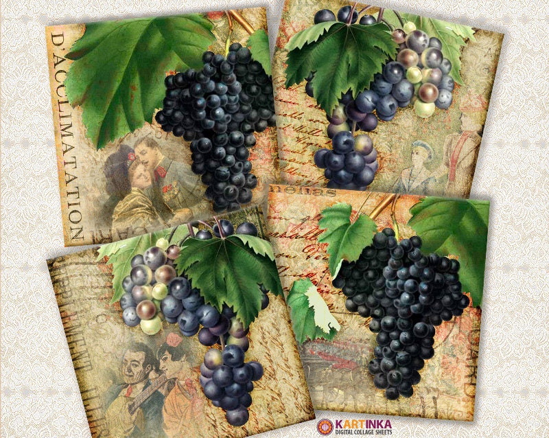 VINTAGE GRAPES STORIES - 3.8x3.8 inch Digital Collage Sheet Printable Download for Coasters Magnets Greeting Cards (available 4x4 inch)
