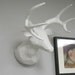 White Faux Taxidermy Deer Head